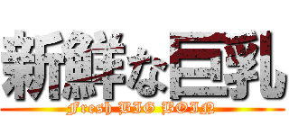 新鮮な巨乳 (Fresh BIG BOIN)