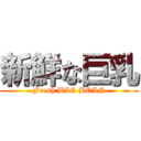 新鮮な巨乳 (Fresh BIG BOIN)