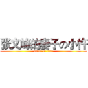 张文峰的妻子の小忤 (attack on titan)