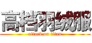 高档羽绒服 (attack on titan)