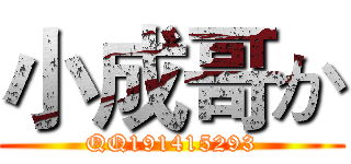 小成哥か (QQ191415293)