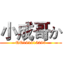 小成哥か (QQ191415293)