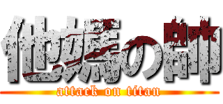 他媽の帥 (attack on titan)