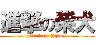 進撃の柴犬 (attack on Shiba )