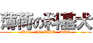 薄荷の科基犬 (Mint   IS  THE   DOG)