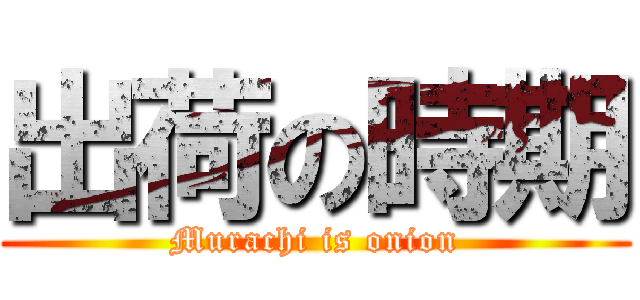 出荷の時期 (Murachi is onion)