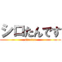 シロたんです (sirotan)