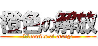 橙色の解放 (liberation of orange)