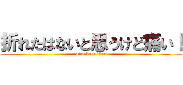 折れたはないと思うけど痛い！ (attack on titan)