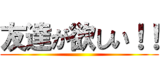 友達が欲しい！！ ()