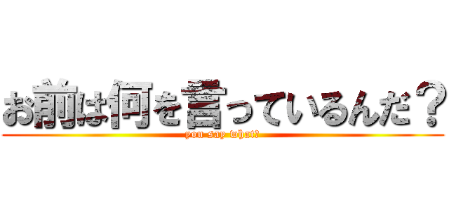 お前は何を言っているんだ？ (you say what?)