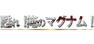 甦れ！俺のマグナム！ ()