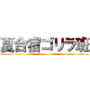 夏合宿ゴリラ班 ()