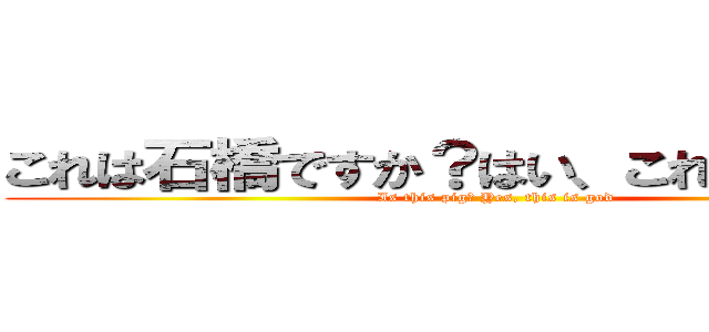 これは石橋ですか？はい、これは水原です (Is this pig? Yes, this is god)