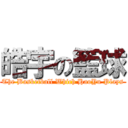 皓宇の籃球 (The Basketball Which HaoYu Plays)