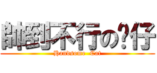 帥到不行の貓仔 (Handsome  Cat)