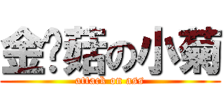 金针菇の小菊 (attack on ass)