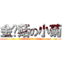 金针菇の小菊 (attack on ass)