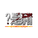 妳是豬 (you are pig)