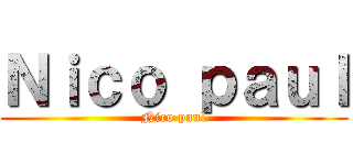 Ｎｉｃｏ ｐａｕｌ (Nico paul)