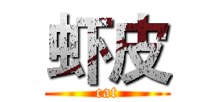 虾皮 (cat)