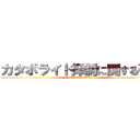 カタボライト抑制に関する研究 (attack on E.coli)