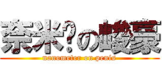 奈米屌の峻豪 (nanometer on penis)