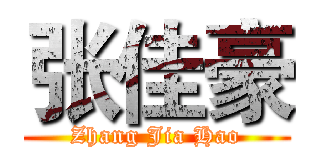 张佳豪 (Zhang Jia Hao)