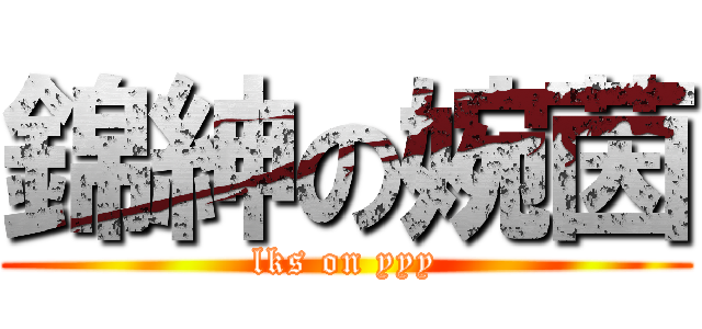 錦紳の婉茵 (lks on yyy)