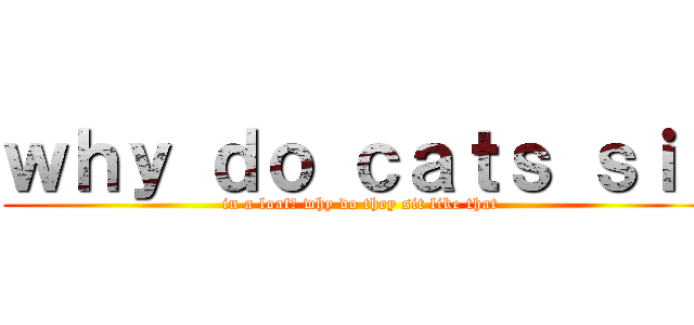 ｗｈｙ ｄｏ ｃａｔｓ ｓｉｔ (in a loaf? why do they sit like that)