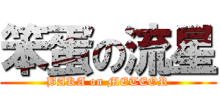 笨蛋の流星 (BAKA on METEOR)