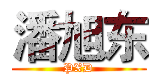 潘旭东 (PXD)