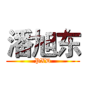 潘旭东 (PXD)