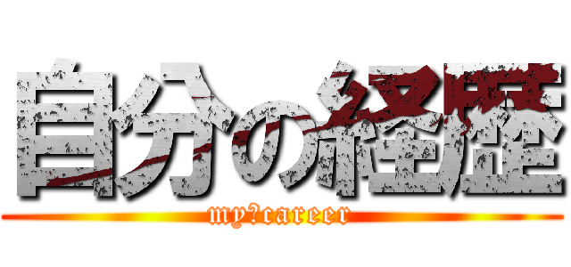 自分の経歴 (my　career)