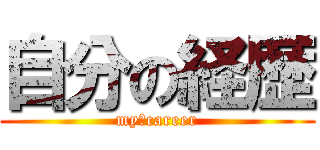 自分の経歴 (my　career)