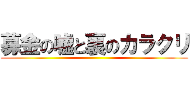 募金の嘘と裏のカラクリ ()