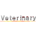 Ｖｅｔｅｒｉｎａｒｙ (attack on titan)