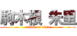 駒木根 朱里 (attack on titan)
