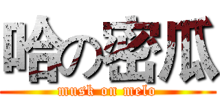 哈の密瓜 (musk on melo)