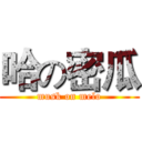 哈の密瓜 (musk on melo)