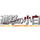 進撃の小白 (RC:26327822)