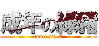 成年の綠豬 (adult pig G)