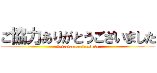 ご協力ありがとうございました (Arigatougozaimashita)