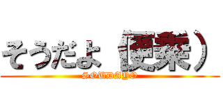 そうだよ（便乗） (SOUDAYO)