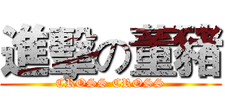進擊の董豬 (CROSS CROSS)