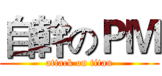 自幹のＰＭ (attack on titan)