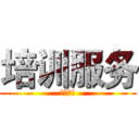 培训服务 (管理体系)