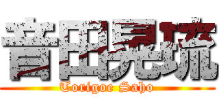 音田晃琉 (Torigoe Saho)