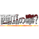 西瓜の睾达 (watermelon`s kindam)