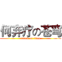 何弃疗の苍穹 (attack on titan)